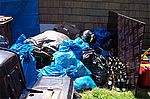 img_0193