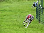 img_2359