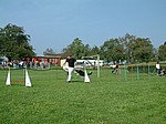 DSCF0045