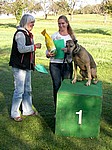 Sonderpreis " Ältester Hund "