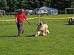 p5283430