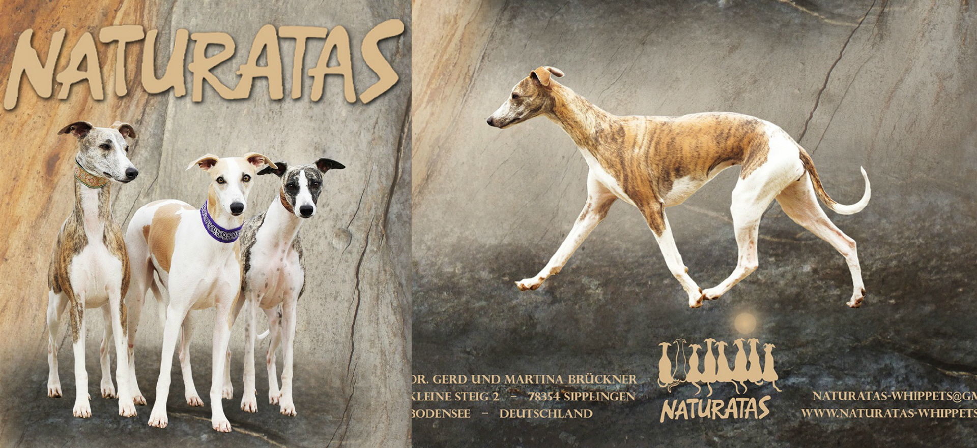 Whippet kennel hotsell